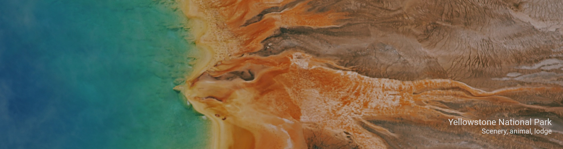 Yellow Stone tours